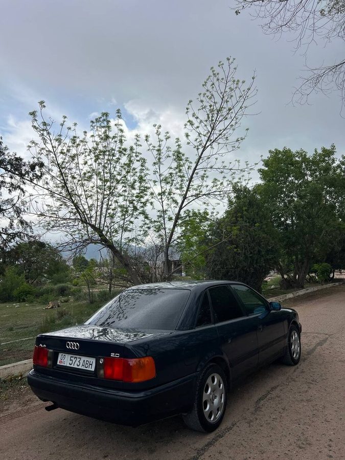 Фото 4