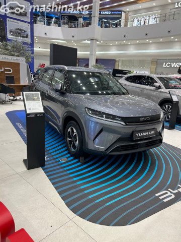 BYD Yuan Up