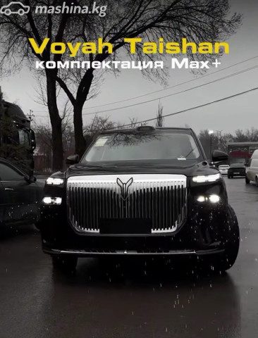 Voyah Taishan