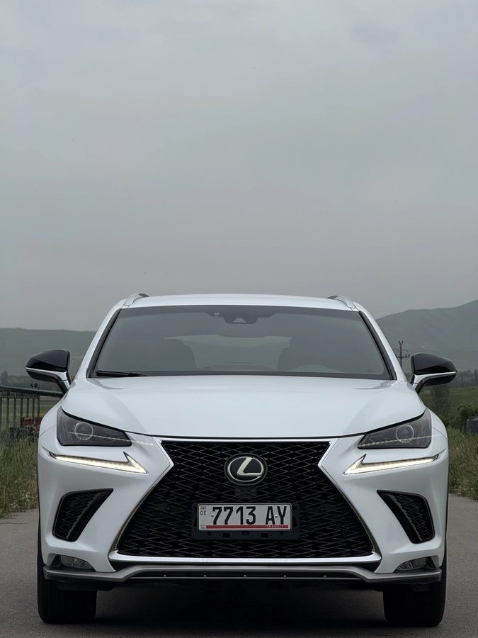 Lexus NX I Рестайлинг 2019