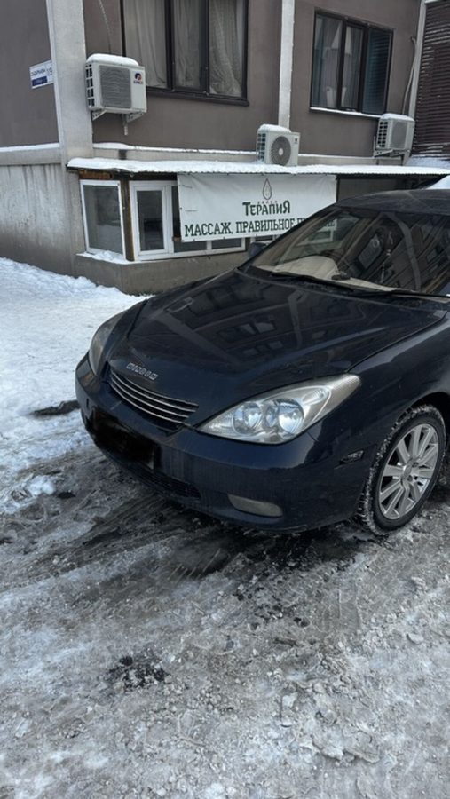 Toyota Windom