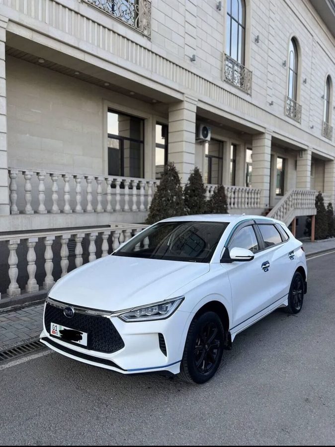 BYD E2