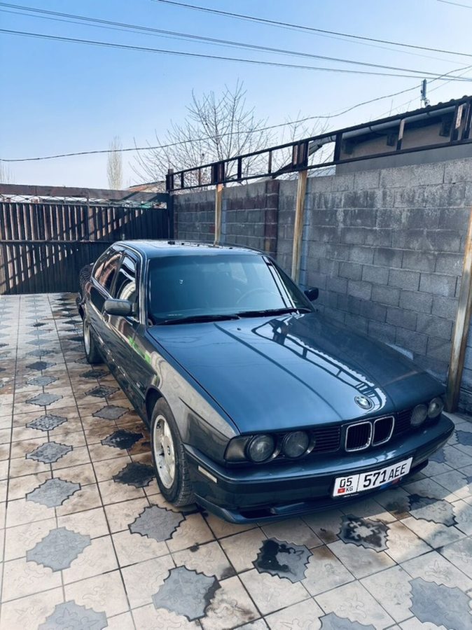 Фото 3