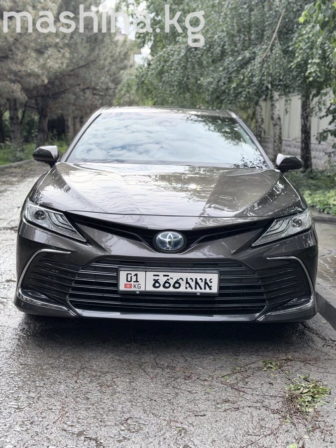 Фото 2