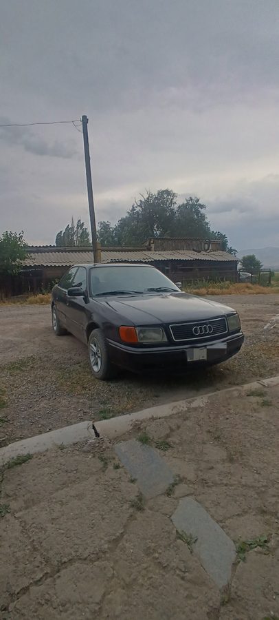 Фото 4