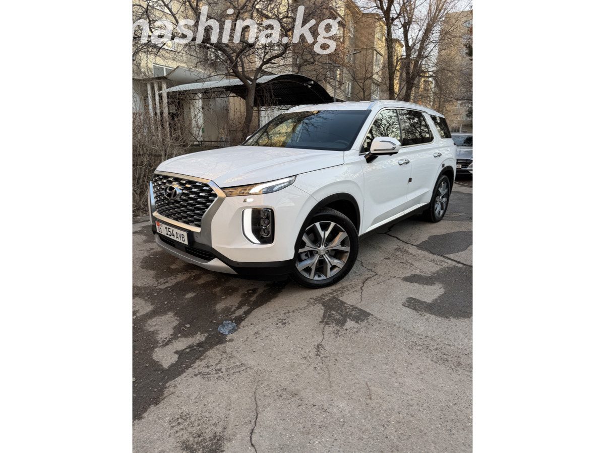 Hyundai Palisade I