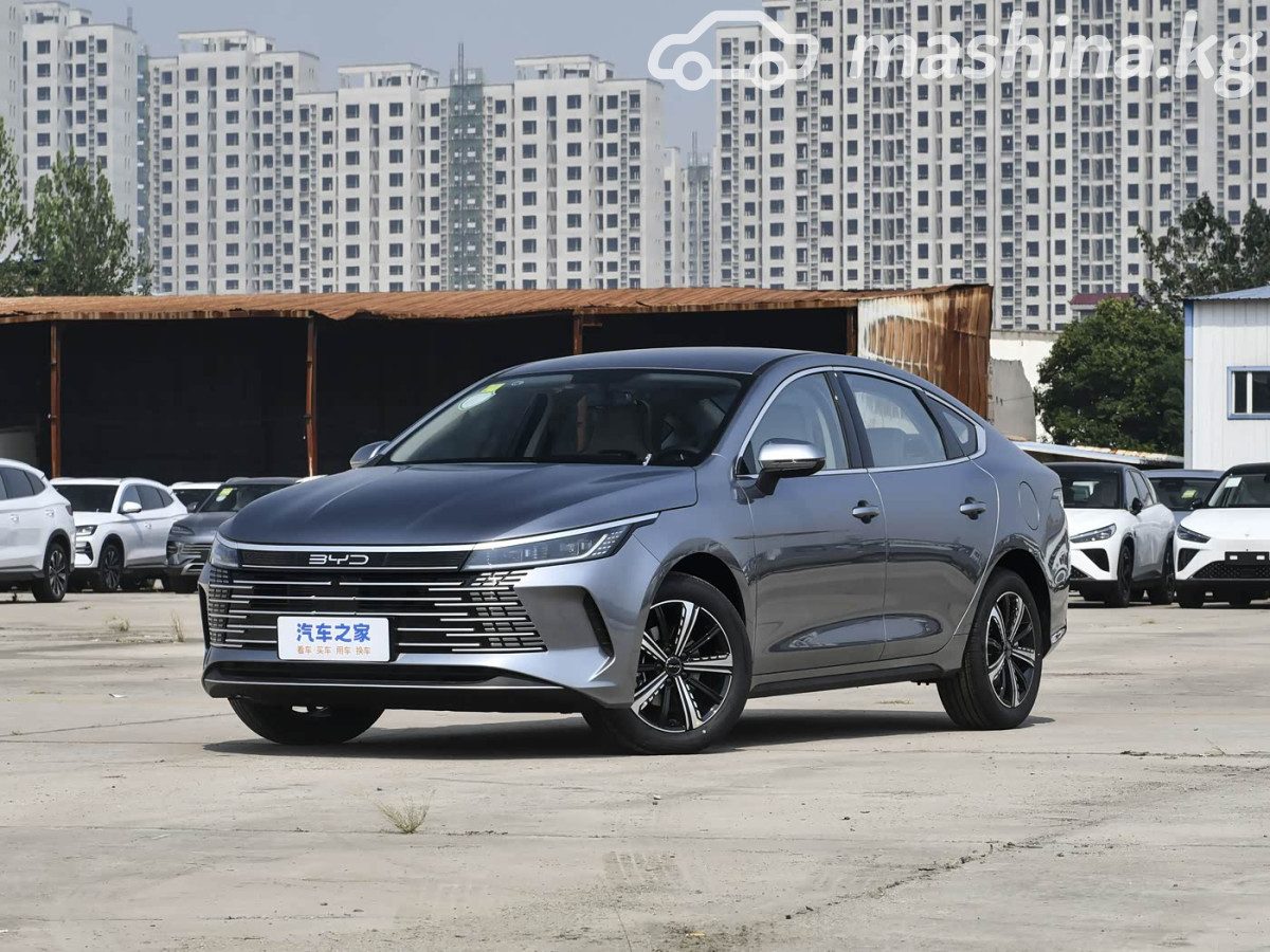 BYD Destroyer 05