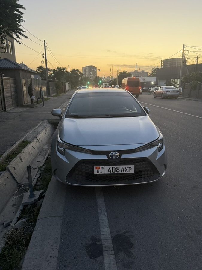 Toyota Levin