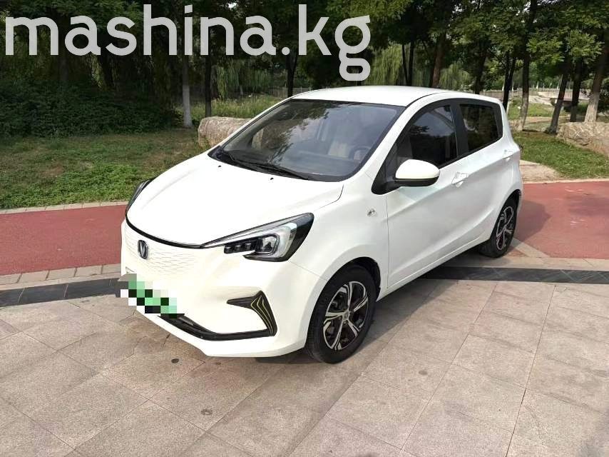 Changan Benben E-Star 2022