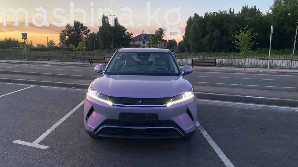 BYD Yuan Up 2025