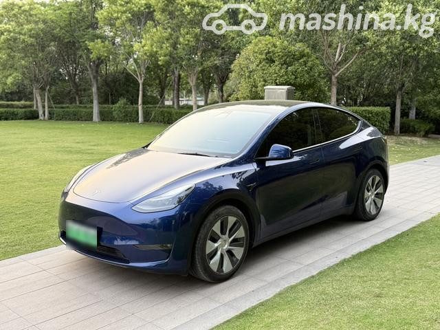 Tesla Model Y I