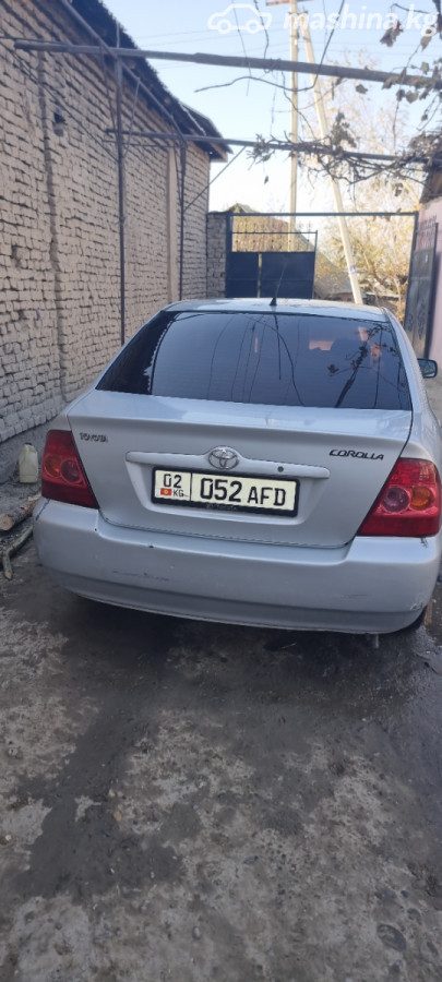 Toyota Corolla IX (E120, E130) Рестайлинг