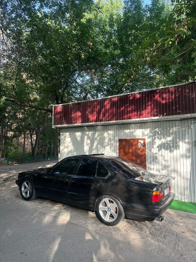 Ещё фото