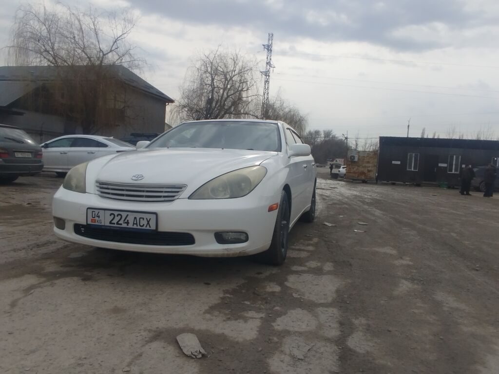 Toyota Windom