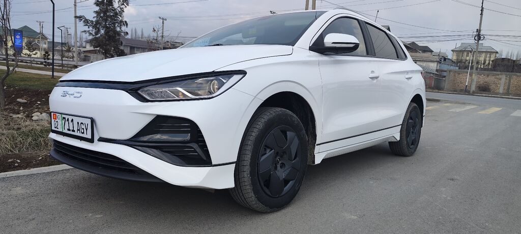 BYD E2