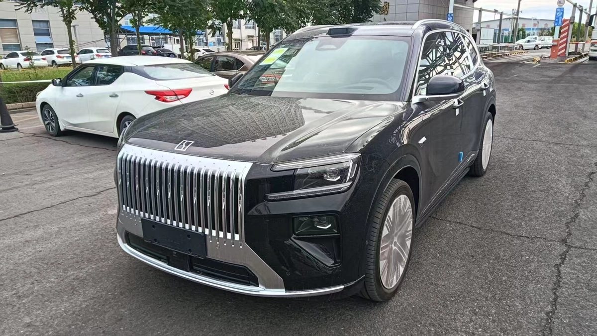 Zeekr 8X 2026
