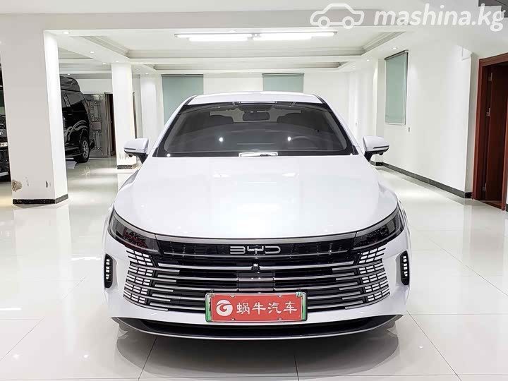BYD Destroyer 05