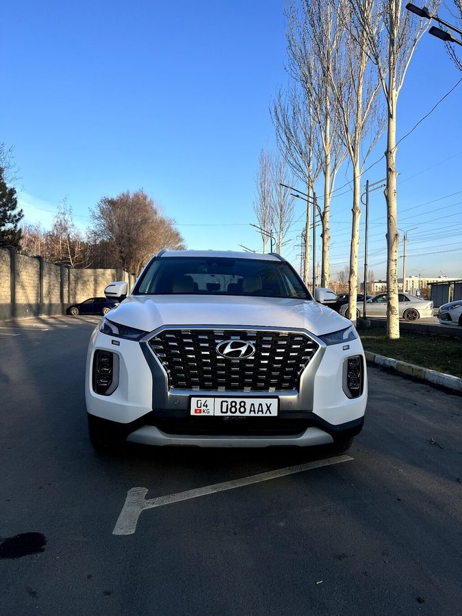 Hyundai Palisade
