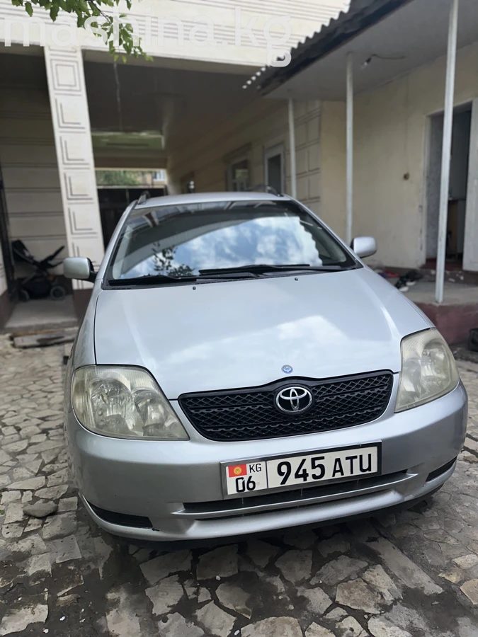 Toyota Corolla IX (E120, E130) 2003