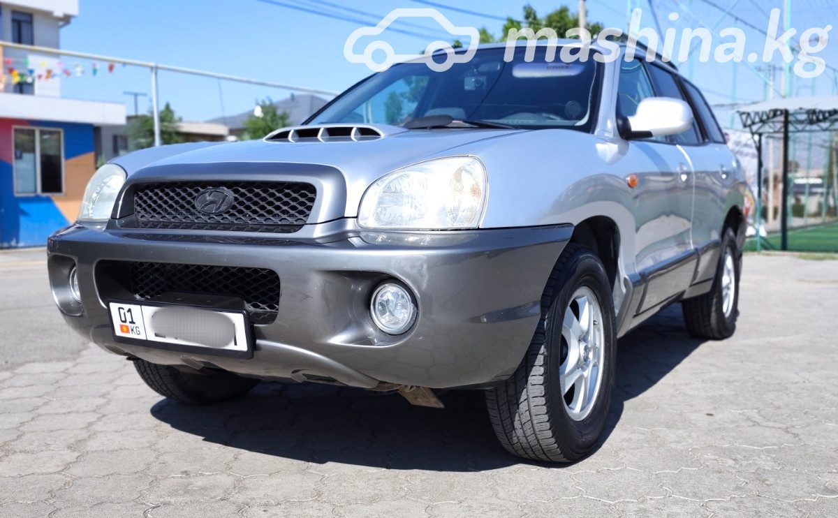 Hyundai Santa Fe I