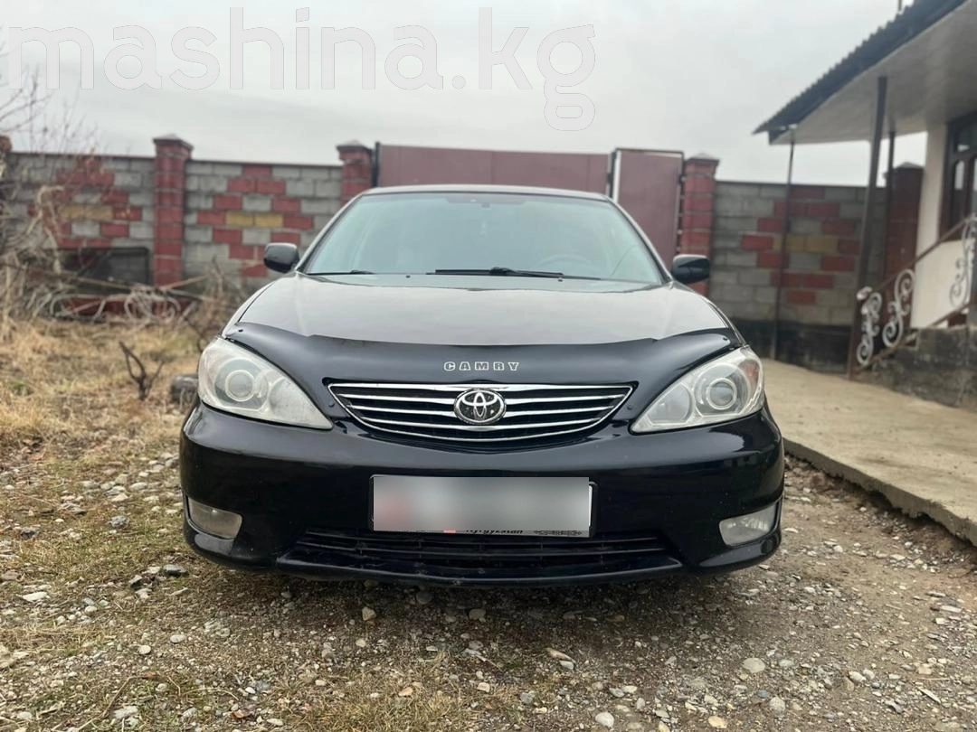 Toyota Camry V (XV30) 2002