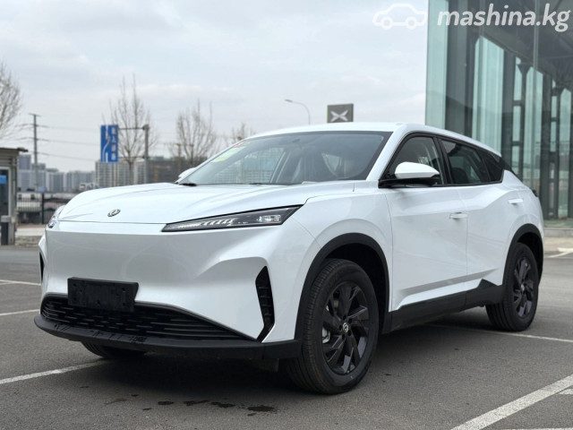 Dongfeng Sky EV01