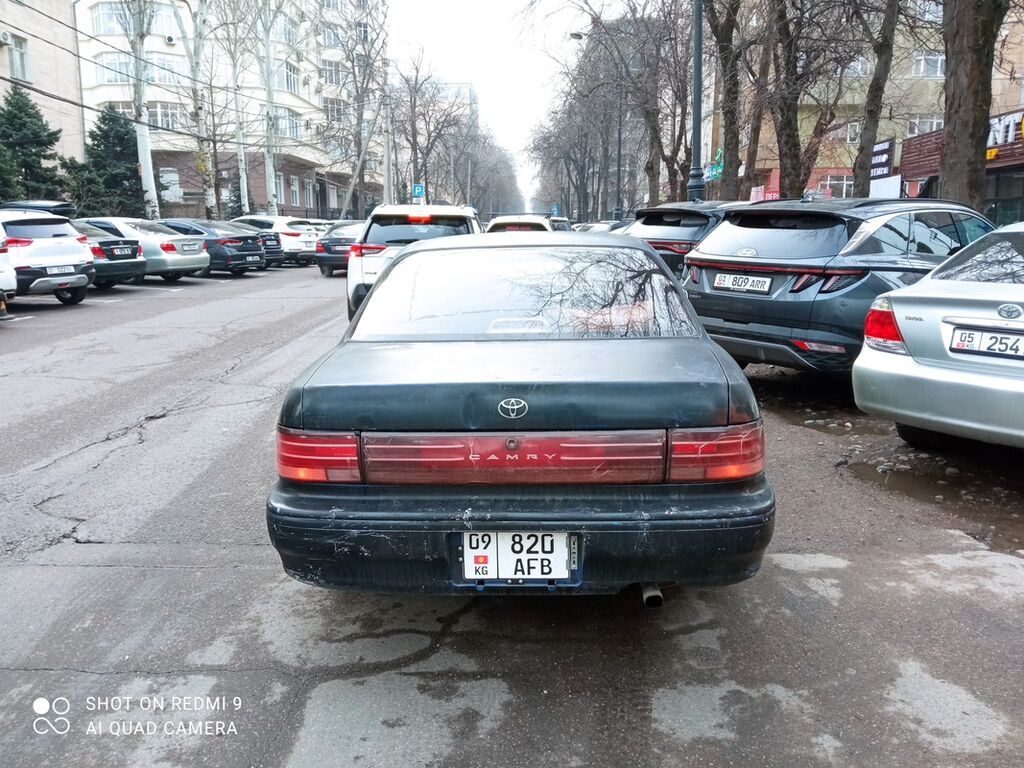 Фото 2