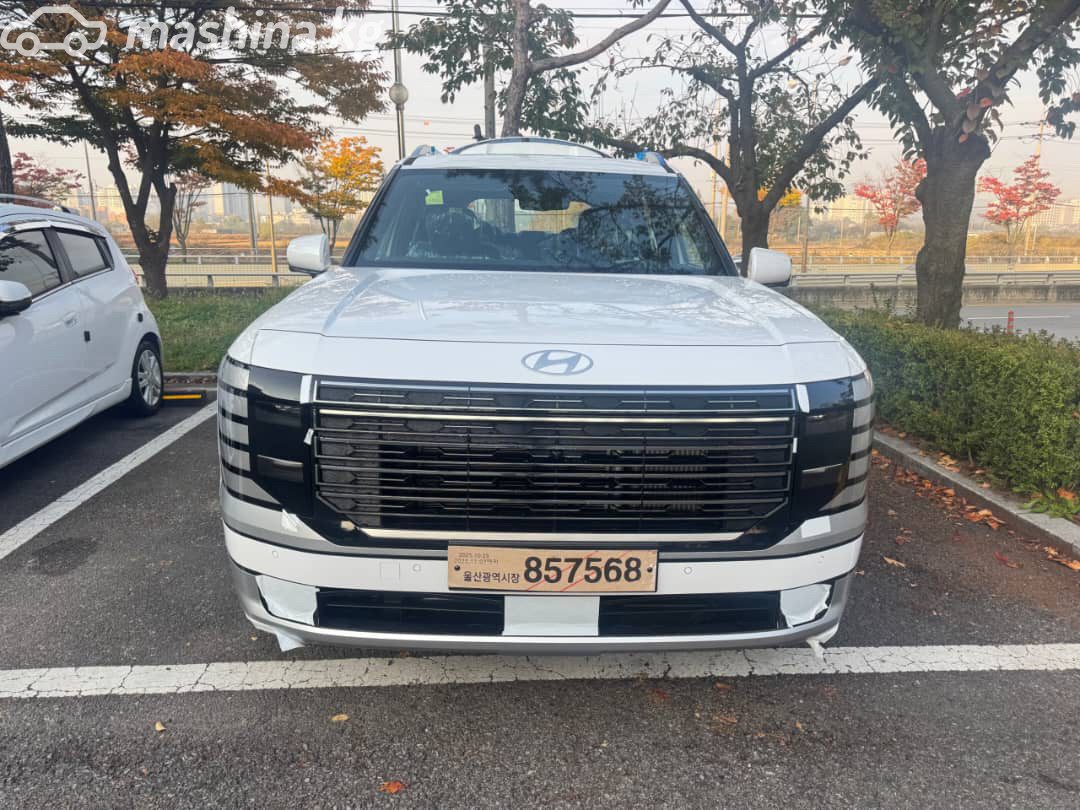 Hyundai Palisade II