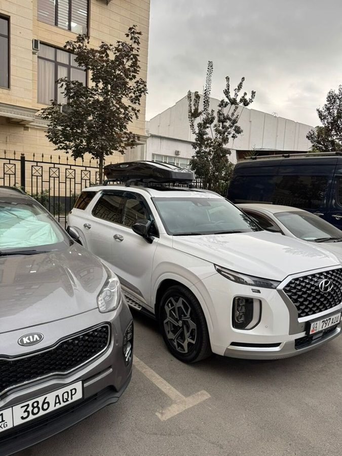 Hyundai Palisade