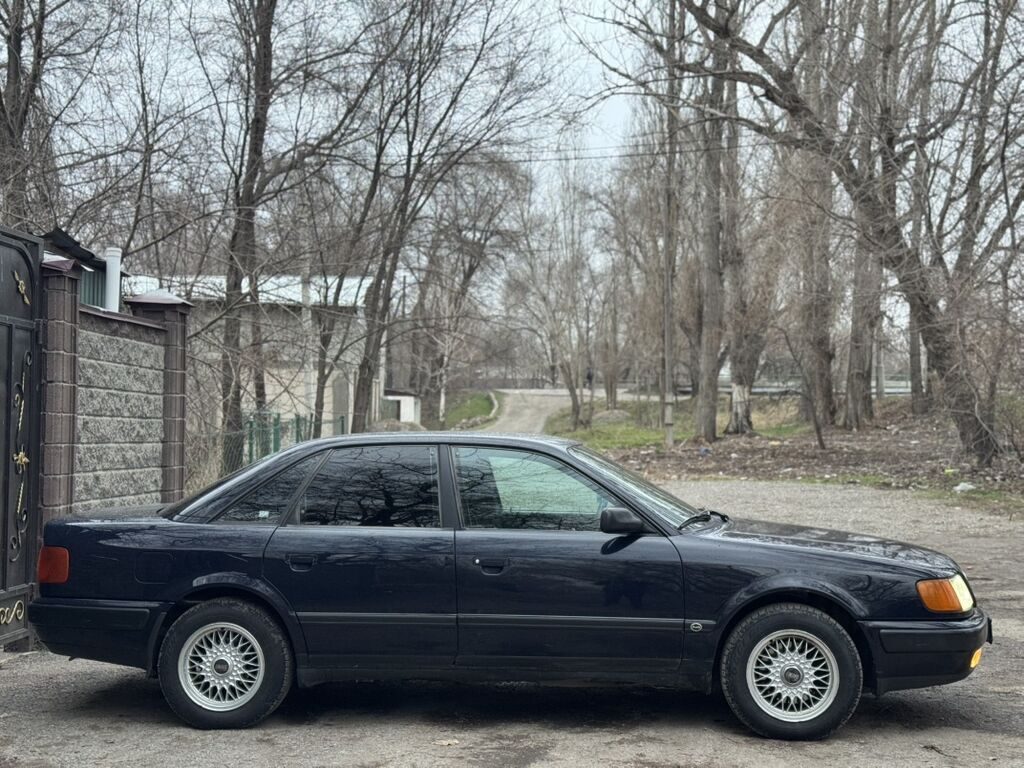 Фото 4