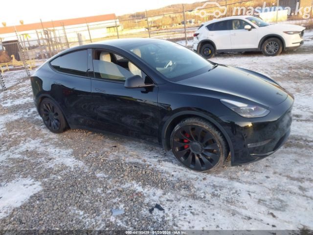 Tesla Model Y I