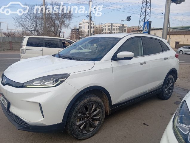 Weltmeister EX5