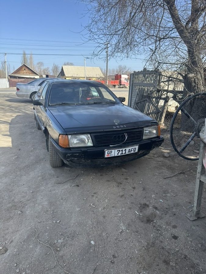 Audi 100
