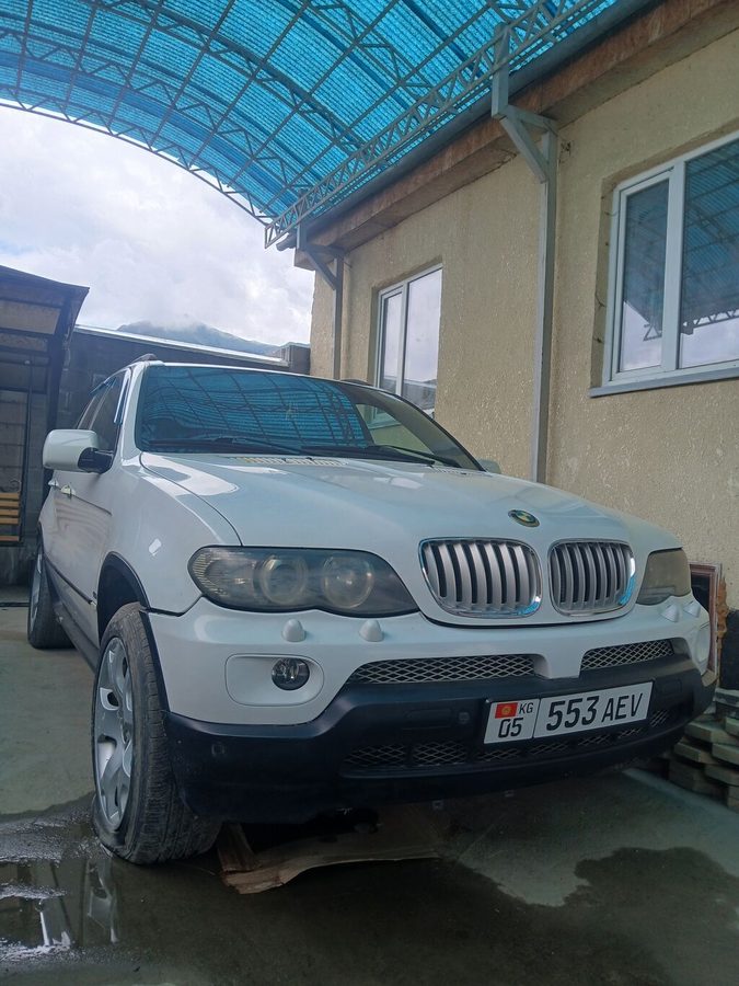 BMW X5