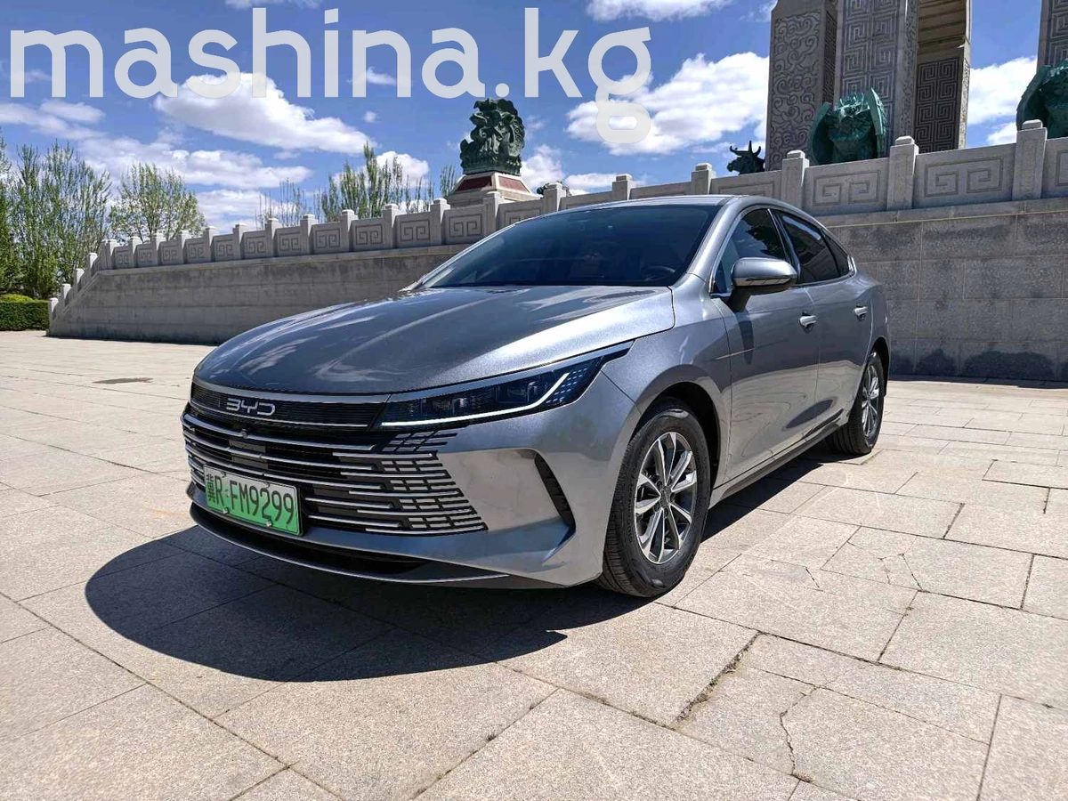 BYD Destroyer 05 2022