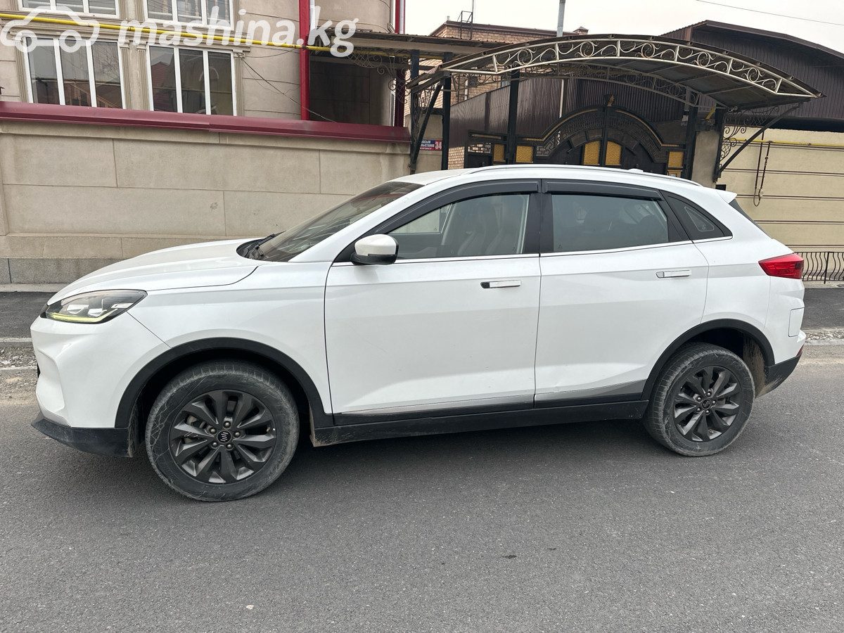 Weltmeister EX5 I