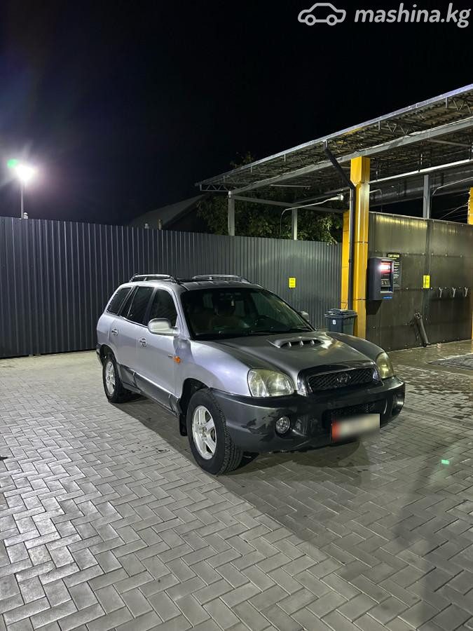 Hyundai Santa Fe I