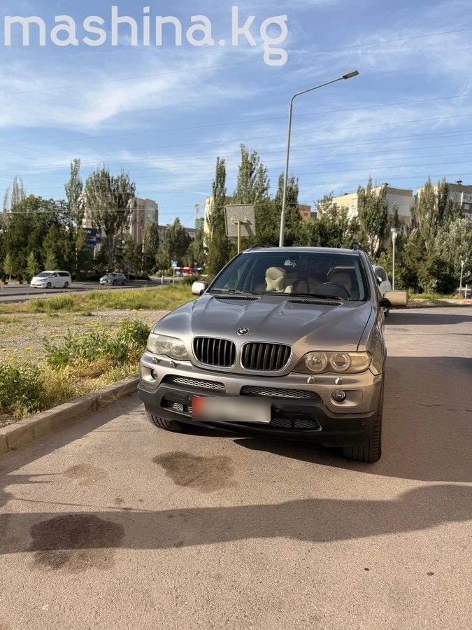 BMW X5 I (E53) Рестайлинг 2004
