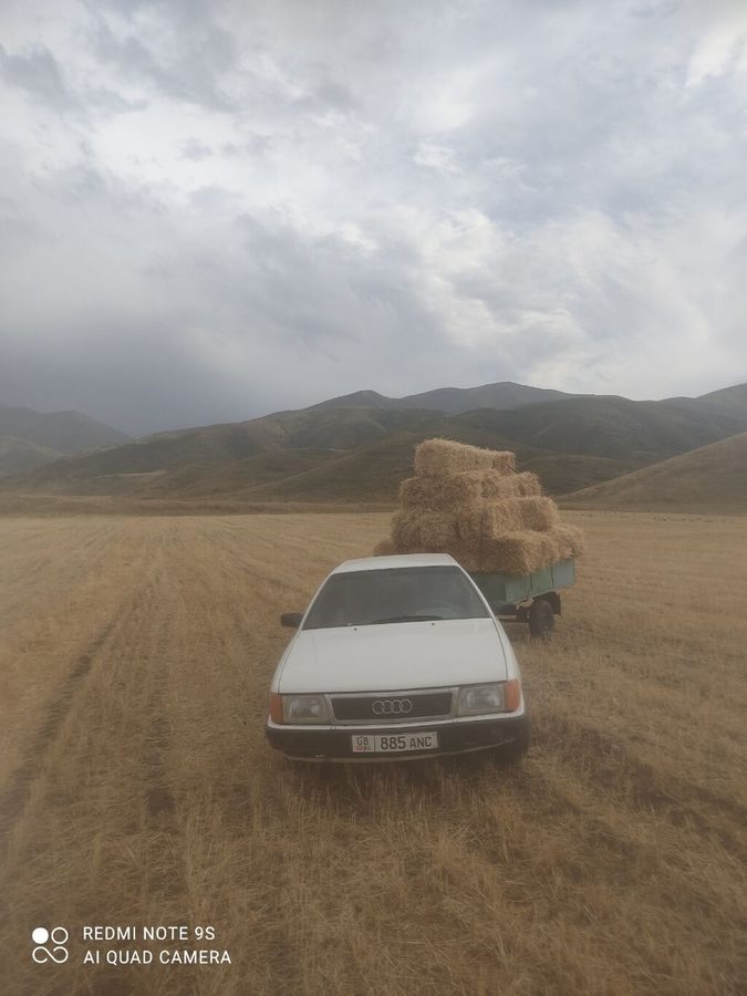 Audi 100