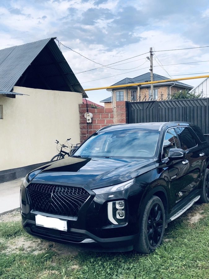 Hyundai Palisade I 2018