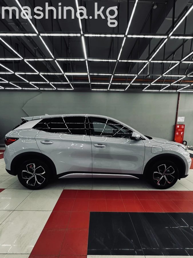 BYD Yuan Plus 2023