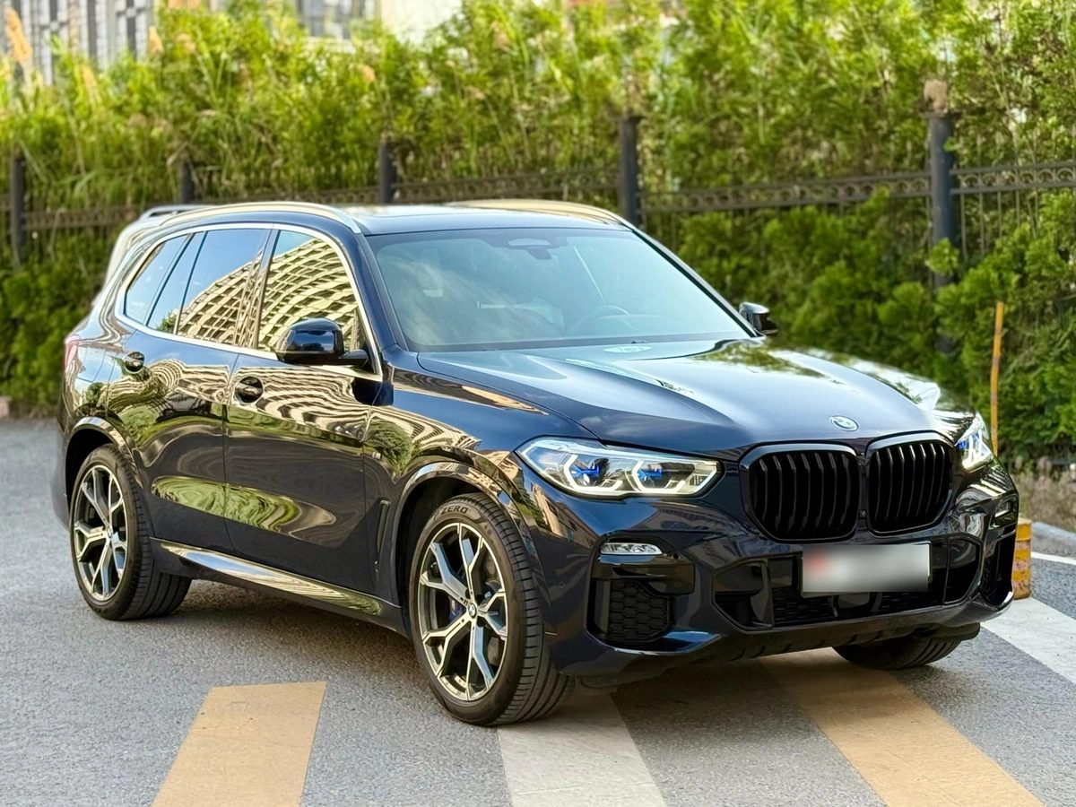 BMW X5 IV (G05/G18) 2021