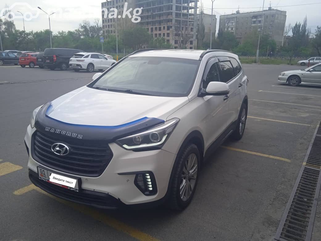 Hyundai Maxcruz
