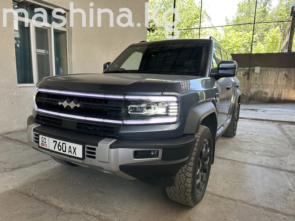 BYD FangChengBao Leopard 5 2024