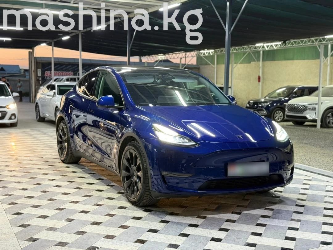 Tesla Model Y I 2021
