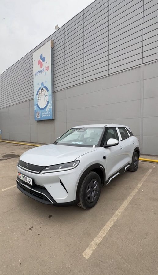 BYD Yuan Up