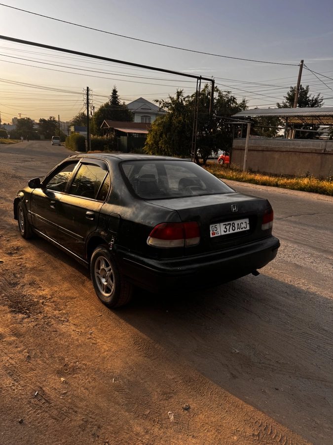 Фото 3