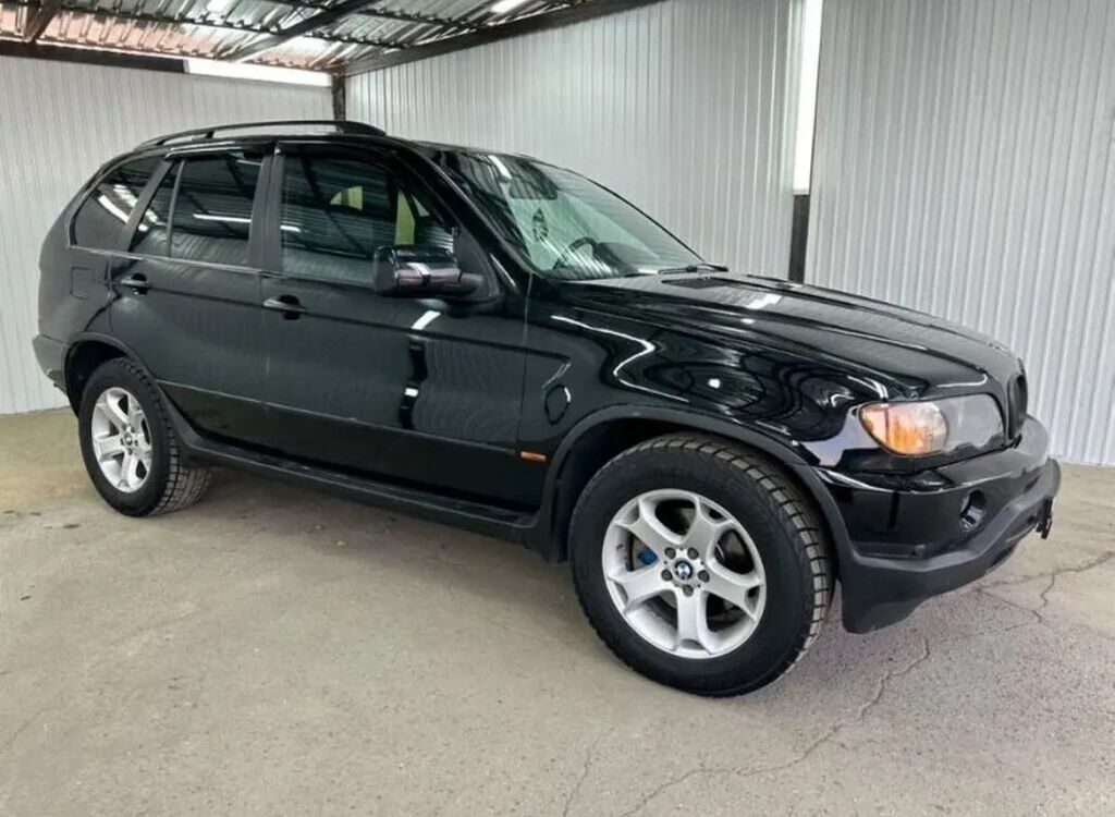 BMW X5