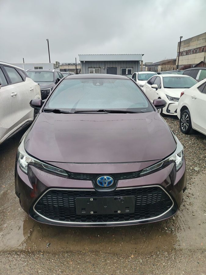 Toyota Levin