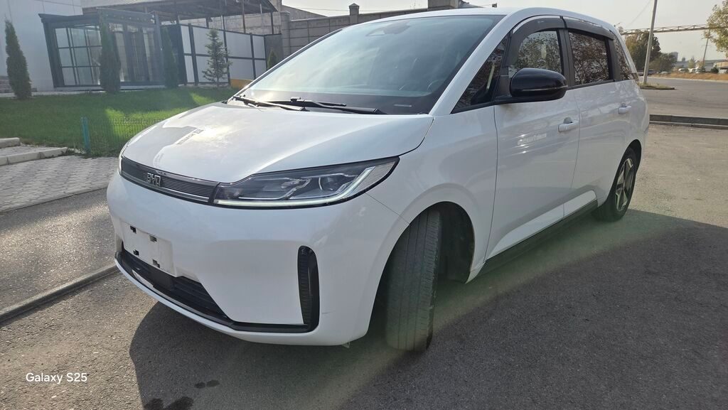 BYD 